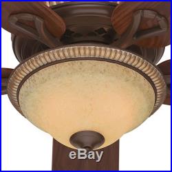 52 Hunter Cocoa with Spanish Gold Accents Ceiling Fan with Light Kit Ships Free