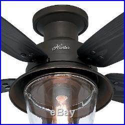52 Hunter Indoor / Outdoor Ceiling Fan in New Bronze with Clear Glass Light Kit