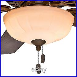 54 Casablanca Ceiling Fan, Acadia Finish Tea Stain Glass CFL Bulb Light Kit