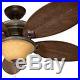 54 Hunter Casual Outdoor Ceiling Fan with Traditional Light kit Damp Rated