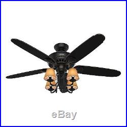 54 Hunter Ceiling Fan, Basque Black with Brushed Gold Accents Finish, Light kit