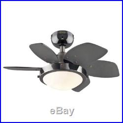 7224300 Quince 24-Inch Gun Metal Indoor Ceiling Fan, Light Kit with Opal Frosted