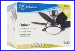7224300 Quince 24-Inch Gun Metal Indoor Ceiling Fan, Light Kit with Opal Frosted