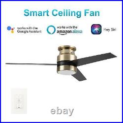 Aurora 52-inch Indoor Smart Ceiling Fan With Wall Control, Light Kit With