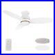 CARRO Ceiling Fan 48 Steel 10-Speed Integrated LED Matte White with Light Kit