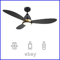 CARRO Smart Ceiling Fan Indoor/Outdoor with Light Kit Compatible + Remote Black
