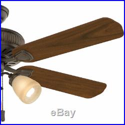 Casablanca Ainsworth 54 Inch Indoor Ceiling Fan with Light Kit & Pull Chain, Brown
