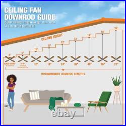 Ceiling Fan Light Kit Downrod 4 Reversible Blades 44 Indoor Outdoor Matte Black