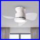 Ceiling Fans with Lights 22 inch Quiet Ceiling Fan Large Airflow Remote Control