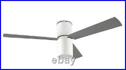 Flush mount Ceiling fan with light kit Formentera White Ceiling fan with Remote