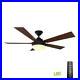 HDC Emswell 52 in. LED Indoor Mediterranean Bronze Ceiling Fan with Light Kit