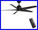 Hampton Bay Mena 54 Matte Black Indoor/Outdoor Ceiling Fan withlight kit & remote