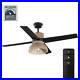 Home Decorators Collection Remote Controlled Ceiling Fan Light Kit Matte Black