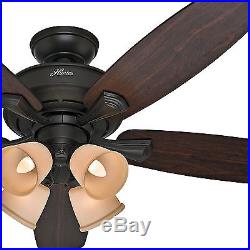 Hunter 52 Casual Ceiling Fan New Bronze with Tea Stained Glass Light Kit