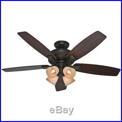 Hunter 52 Casual Ceiling Fan New Bronze with Tea Stained Glass Light Kit