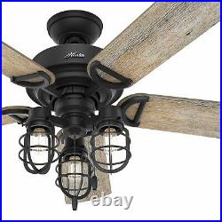 Hunter Fan 52 inch Casual Natural Iron Indoor/Outdoor Ceiling Fan with Light Kit