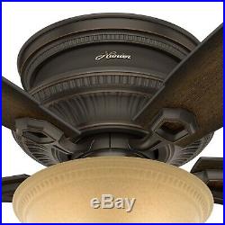 Hunter Fan 52 inch Low Profile Ceiling Fan in Onyx Bengal with LED Bowl Light Kit