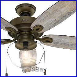 Hunter Fan 52 inch Regal Bronze Outdoor Ceiling Fan with Globe Light Kit