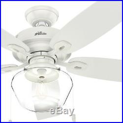 Hunter Fan 52 inch Traditional Fresh White Damp Ceiling Fan with Light Kit