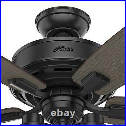 Hunter Fan 52 inch Traditional Matte Black Ceiling Fan with Light Kit and Remote
