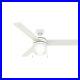 Hunter Fan 54 in Contemporary Fresh White Ceiling Fan w Light Kit and Pull Chain