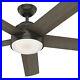 Hunter Fan 60 in Contemporary Noble Bronze Ceiling Fan with Light Kit and Remote