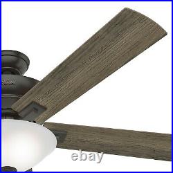 Hunter Fan 60 inch Casual Noble Bronze Ceiling Fan with Light Kit and Pull Chain