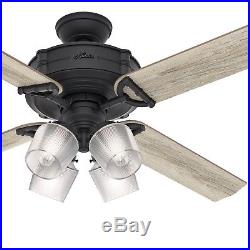 Hunter Fan 60 inch Natural Iron Ceiling Fan with Light Kit and Remote Control