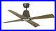 Outdoor Ceiling fan with Remote control Typhoon Brown Maple DC Fan LED Light Kit