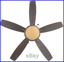 Roanoke 48 in Indoor/Outdoor Iron Low Ceiling Fan with Dome 3-Light Kit 3 Speed