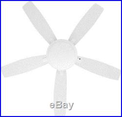 Roanoke 48 in Indoor/Outdoor White Low Ceiling Fan with Dome 3-Light Kit 3 Speed