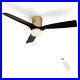 Smart Ceiling Fan with Dimmable Light Kit 10-speed DC Motor 52 Inch Gold/Black