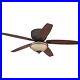 Westinghouse Lighting 7209600 Carolina 52-Inch Indoor Ceiling Fan, Light Kit